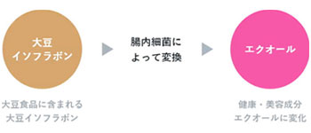 エクオール接種後の改善率