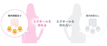 エクオール接種後の改善率
