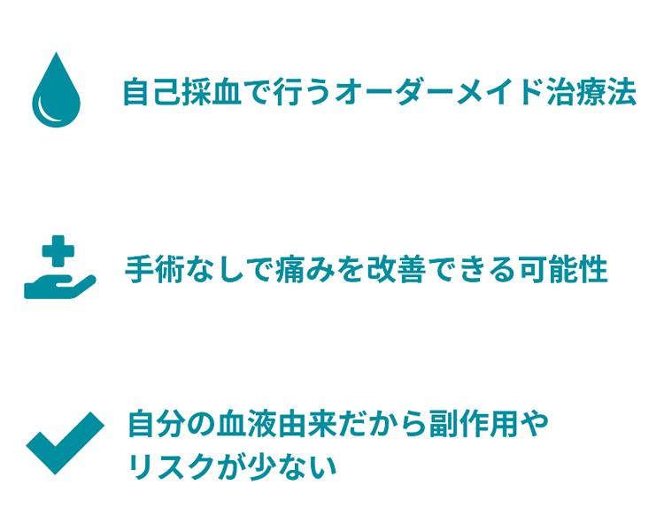 主な特徴